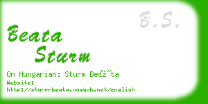 beata sturm business card